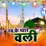 Rab Ke Pyare Wali - Sonu Ali Song Download